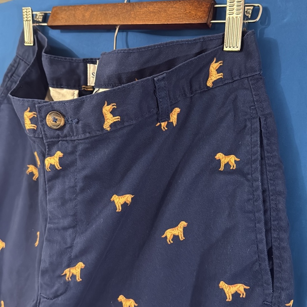 Golden Retriever Labrador Dog Pattern Print Men’s 34-36 Shorts preppy fun